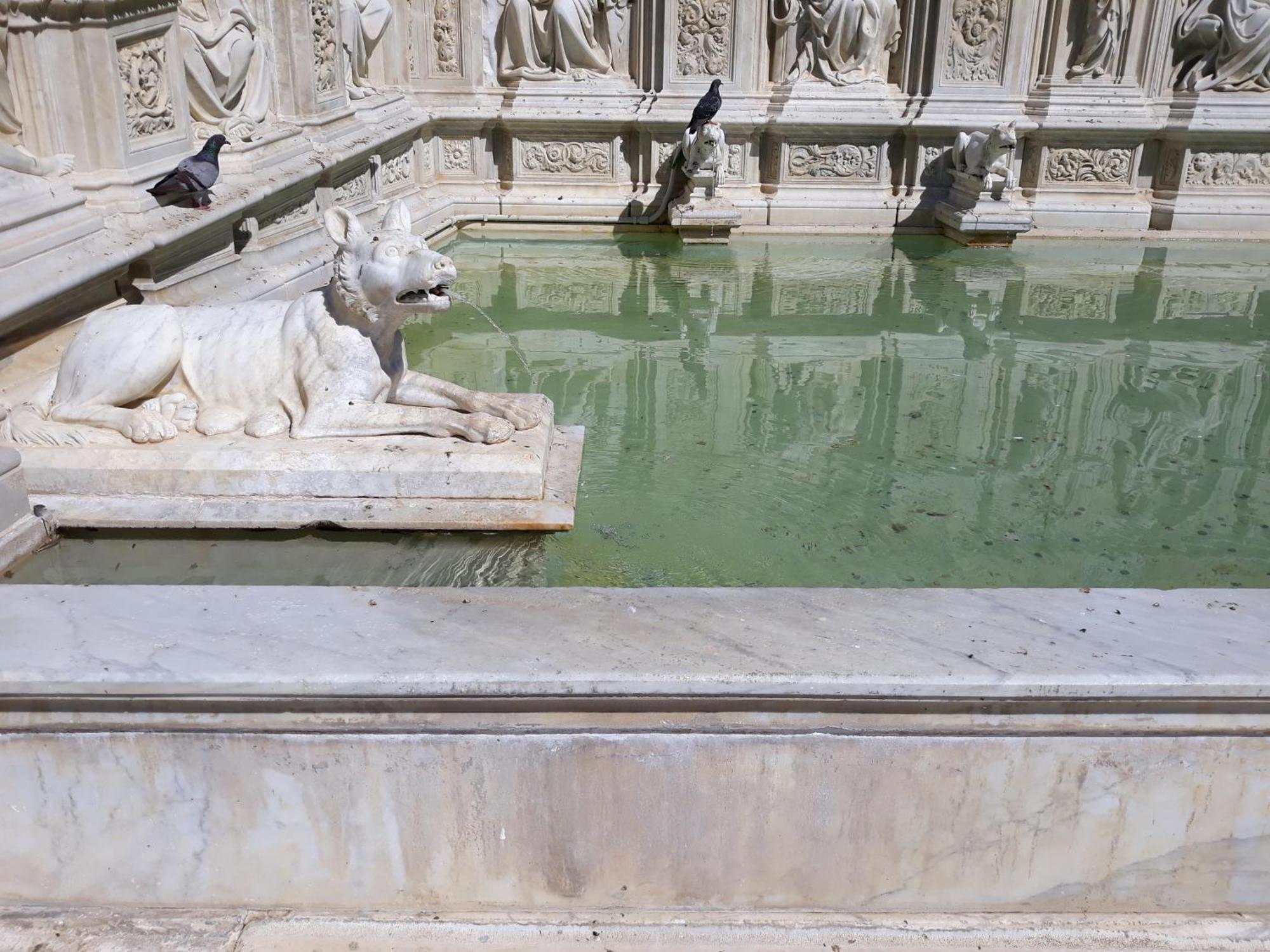 Minerva Siena