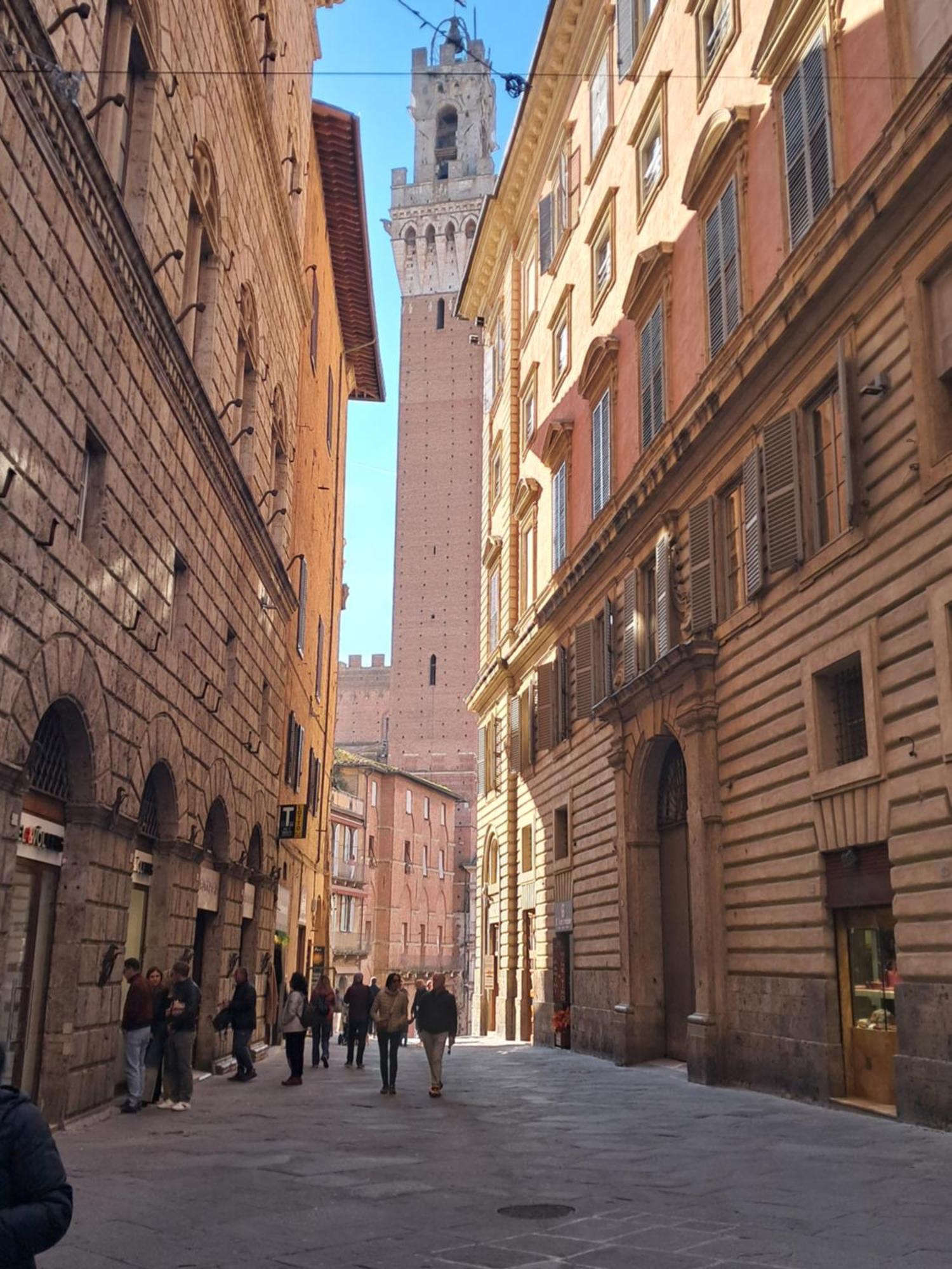Minerva 3* Siena